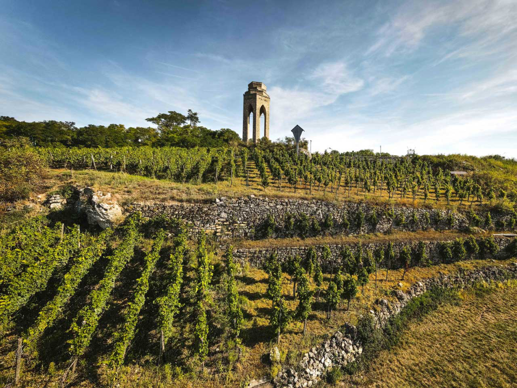 Internationales Pfingstmeeting des MG Car Club