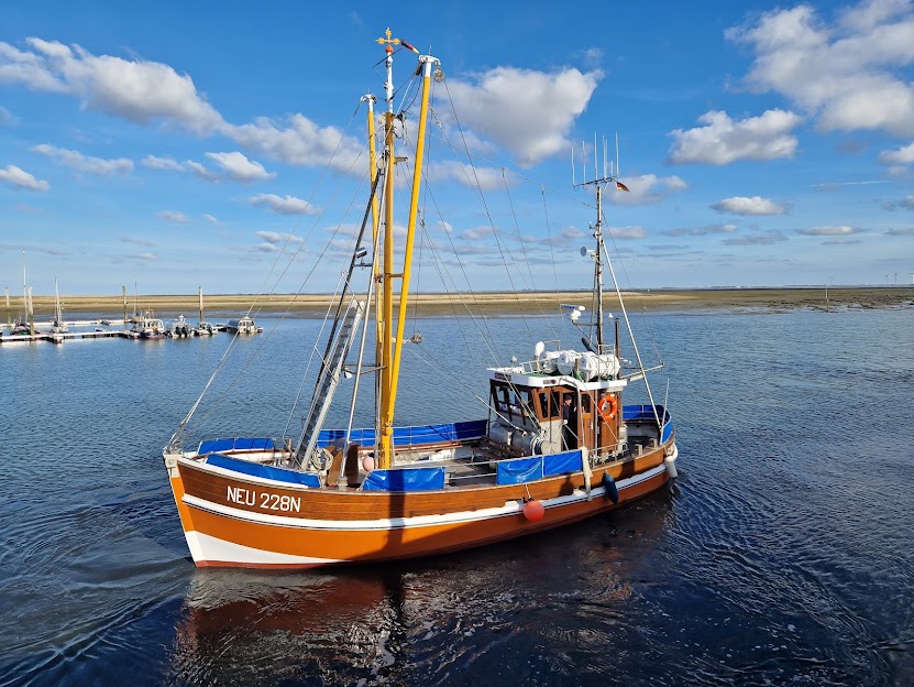 Siele, Fischkutter und Ozeanriesen