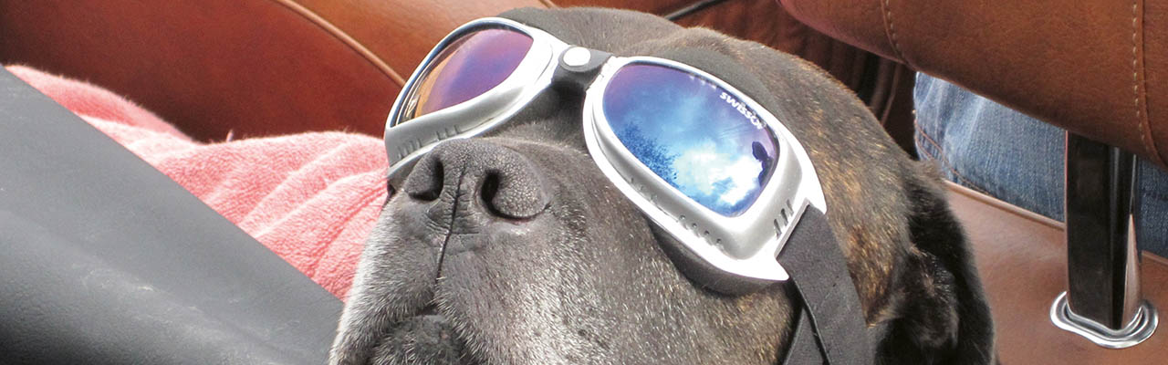 MG Car Club Deutschland e.V.