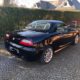 MG TF 135 | Anniversary Edition